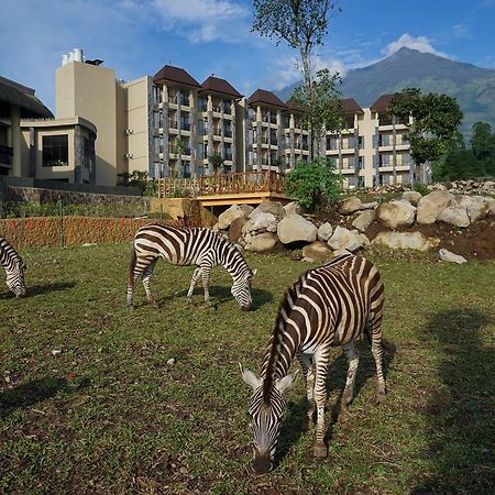 Baobab Safari Resort Prigen Luaran gambar